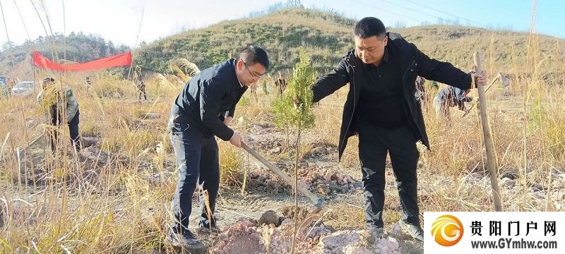 “植”此青绿 不负青山 贵州各地开展义务植树活动(图4) “植”此青绿 不负青山 贵州各地开展义务植树活动(图4)