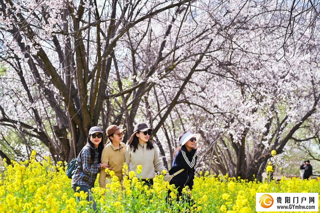 快出发!这些地方陆续美成仙境!(图6) 快出发!这些地方陆续美成仙境!(图6)