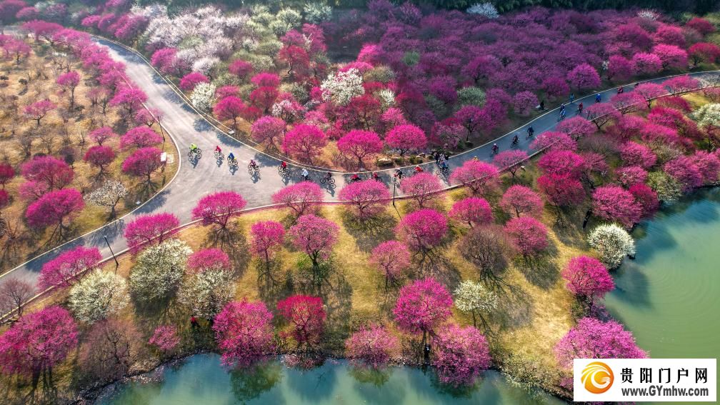 快出发!这些地方陆续美成仙境!(图21) 快出发!这些地方陆续美成仙境!(图21)